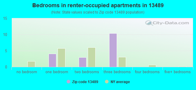 Bedrooms in renter-occupied apartments in 13489 