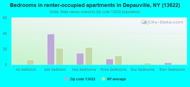 Bedrooms in renter-occupied apartments in Depauville, NY (13622) 