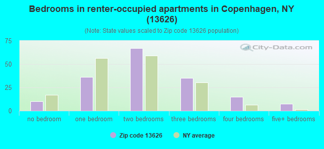 Bedrooms in renter-occupied apartments in Copenhagen, NY (13626) 
