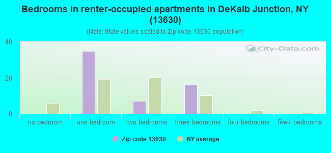 Bedrooms in renter-occupied apartments in DeKalb Junction, NY (13630) 