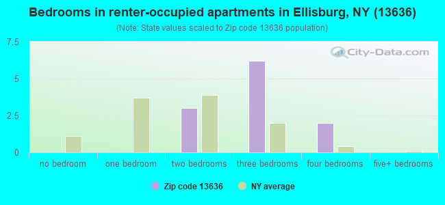 Bedrooms in renter-occupied apartments in Ellisburg, NY (13636) 