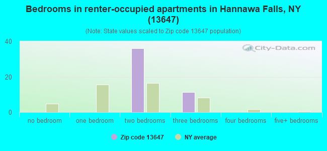 Bedrooms in renter-occupied apartments in Hannawa Falls, NY (13647) 