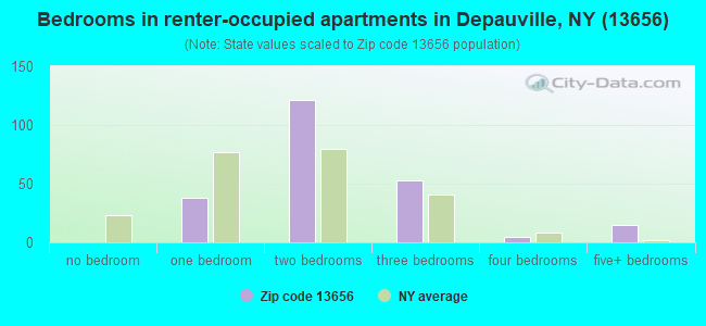 Bedrooms in renter-occupied apartments in Depauville, NY (13656) 