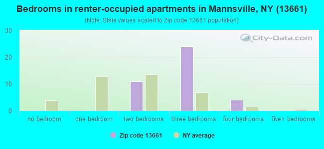 Bedrooms in renter-occupied apartments in Mannsville, NY (13661) 