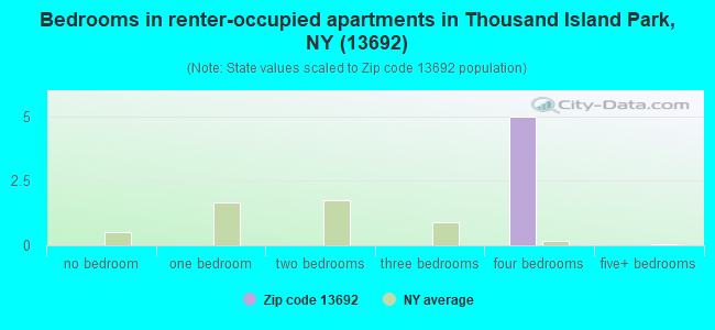 Bedrooms in renter-occupied apartments in Thousand Island Park, NY (13692) 