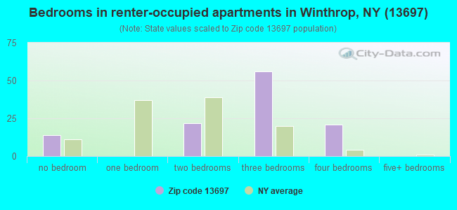 Bedrooms in renter-occupied apartments in Winthrop, NY (13697) 