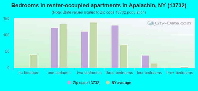 Bedrooms in renter-occupied apartments in Apalachin, NY (13732) 