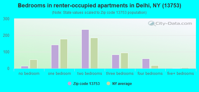 Bedrooms in renter-occupied apartments in Delhi, NY (13753) 