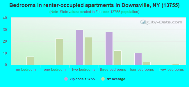 Bedrooms in renter-occupied apartments in Downsville, NY (13755) 