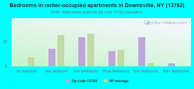 Bedrooms in renter-occupied apartments in Downsville, NY (13782) 