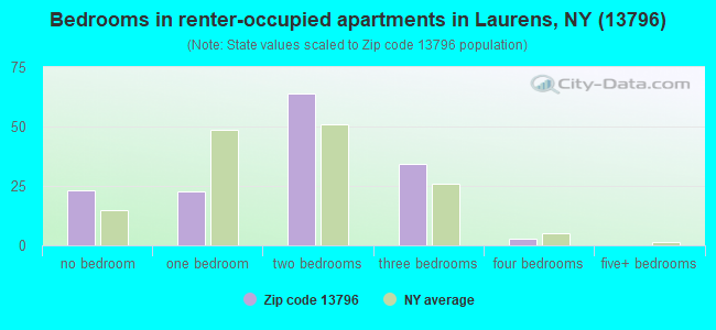 Bedrooms in renter-occupied apartments in Laurens, NY (13796) 