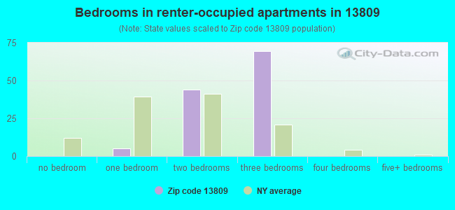 Bedrooms in renter-occupied apartments in 13809 