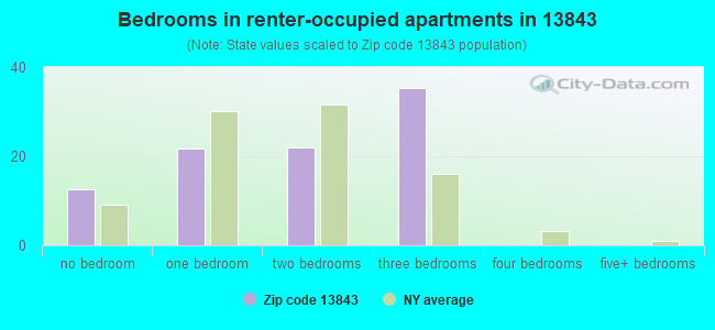 Bedrooms in renter-occupied apartments in 13843 