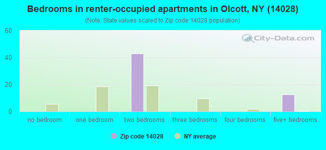 Bedrooms in renter-occupied apartments in Olcott, NY (14028) 