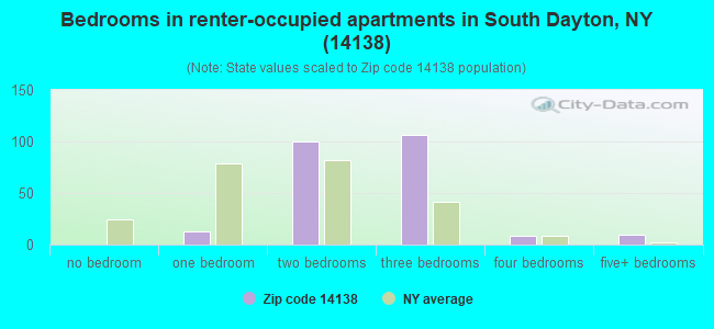 Bedrooms in renter-occupied apartments in South Dayton, NY (14138) 