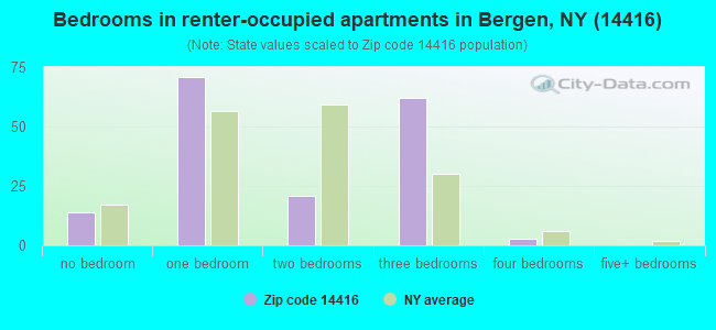 Bedrooms in renter-occupied apartments in Bergen, NY (14416) 