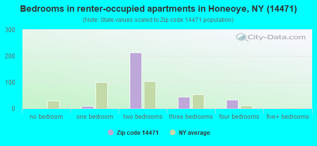 Bedrooms in renter-occupied apartments in Honeoye, NY (14471) 