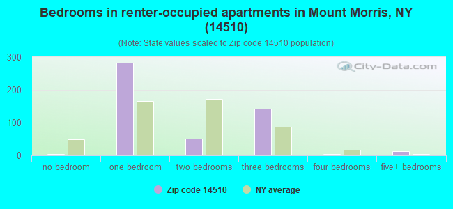 Bedrooms in renter-occupied apartments in Mount Morris, NY (14510) 