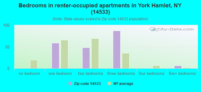 Bedrooms in renter-occupied apartments in York Hamlet, NY (14533) 