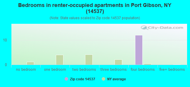 Bedrooms in renter-occupied apartments in Port Gibson, NY (14537) 