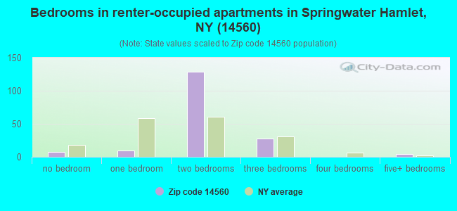 Bedrooms in renter-occupied apartments in Springwater Hamlet, NY (14560) 