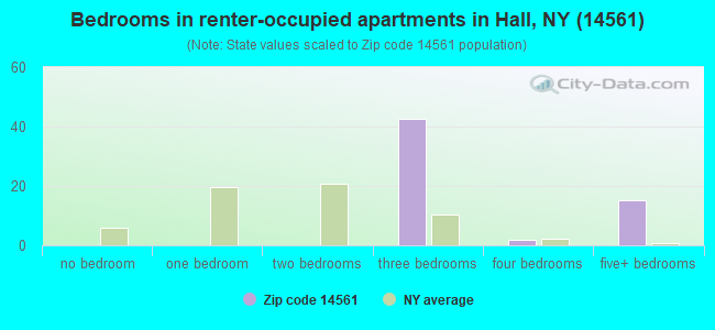 Bedrooms in renter-occupied apartments in Hall, NY (14561) 