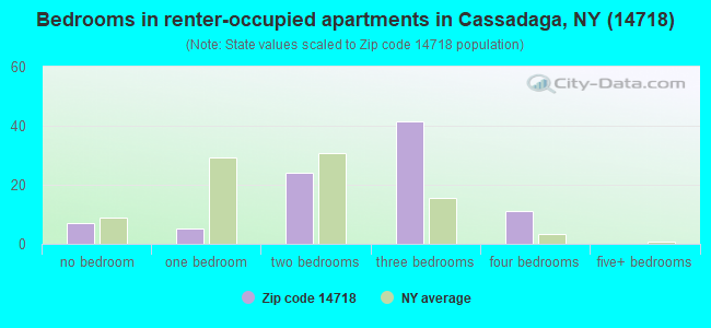 Bedrooms in renter-occupied apartments in Cassadaga, NY (14718) 