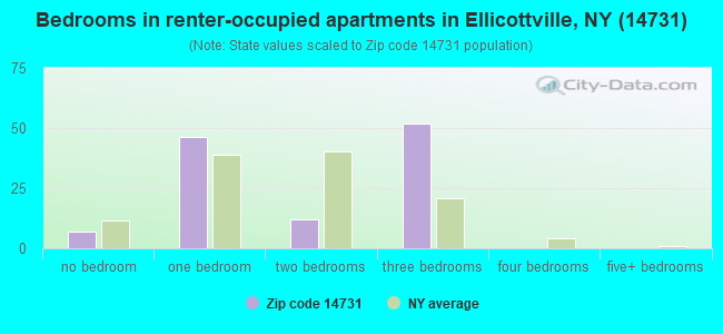 Bedrooms in renter-occupied apartments in Ellicottville, NY (14731) 