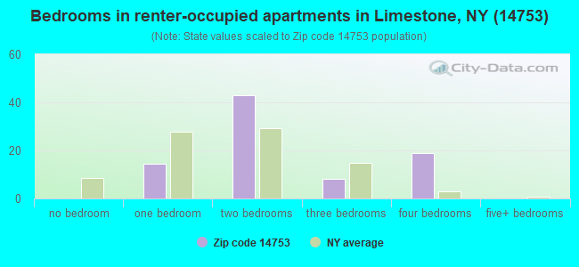 Bedrooms in renter-occupied apartments in Limestone, NY (14753) 