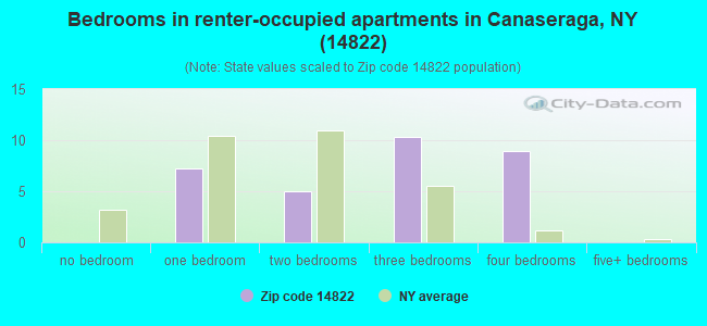 Bedrooms in renter-occupied apartments in Canaseraga, NY (14822) 