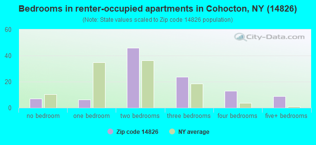 Bedrooms in renter-occupied apartments in Cohocton, NY (14826) 
