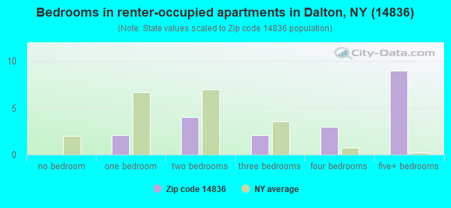 Bedrooms in renter-occupied apartments in Dalton, NY (14836) 