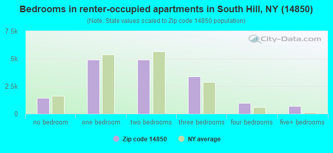 Bedrooms in renter-occupied apartments in South Hill, NY (14850) 