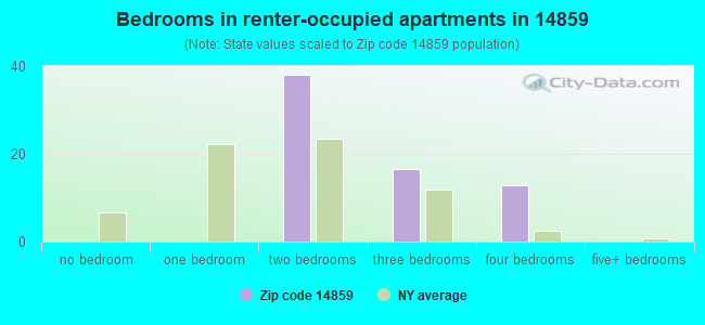 Bedrooms in renter-occupied apartments in 14859 