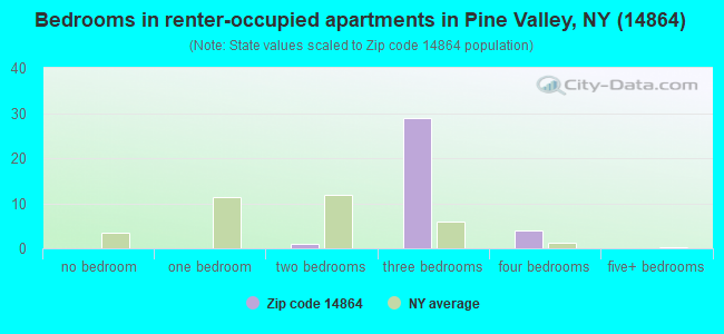 Bedrooms in renter-occupied apartments in Pine Valley, NY (14864) 