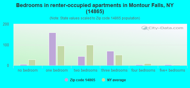 Bedrooms in renter-occupied apartments in Montour Falls, NY (14865) 