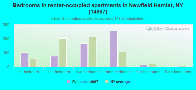 Bedrooms in renter-occupied apartments in Newfield Hamlet, NY (14867) 
