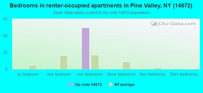 Bedrooms in renter-occupied apartments in Pine Valley, NY (14872) 