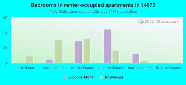 Bedrooms in renter-occupied apartments in 14873 