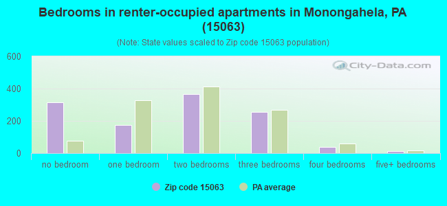 Bedrooms in renter-occupied apartments in Monongahela, PA (15063) 
