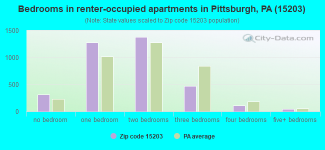 Bedrooms in renter-occupied apartments in Pittsburgh, PA (15203) 