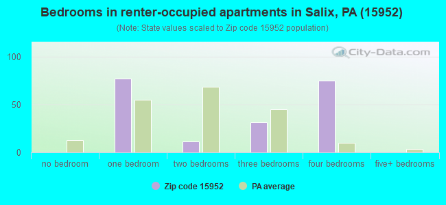 Bedrooms in renter-occupied apartments in Salix, PA (15952) 