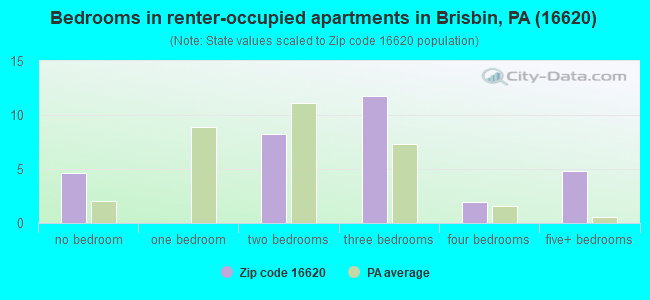 Bedrooms in renter-occupied apartments in Brisbin, PA (16620) 