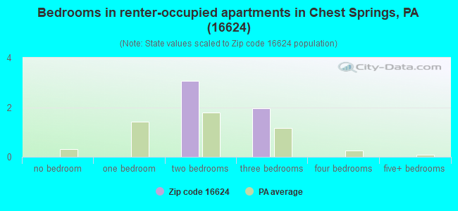 Bedrooms in renter-occupied apartments in Chest Springs, PA (16624) 