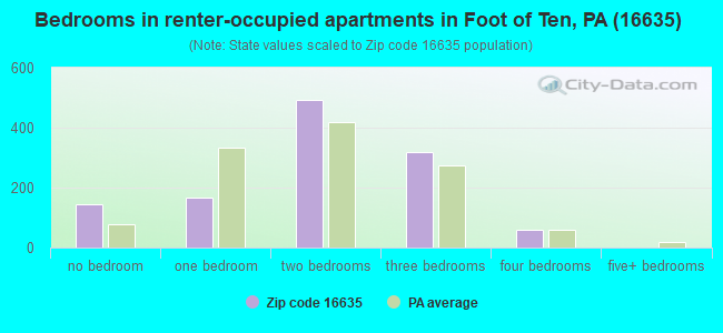 Bedrooms in renter-occupied apartments in Foot of Ten, PA (16635) 
