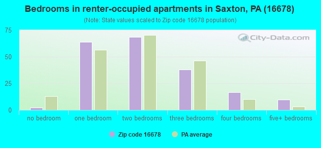 Bedrooms in renter-occupied apartments in Saxton, PA (16678) 