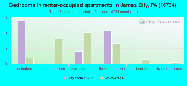Bedrooms in renter-occupied apartments in James City, PA (16734) 