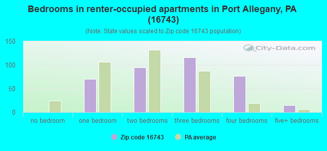 Bedrooms in renter-occupied apartments in Port Allegany, PA (16743) 