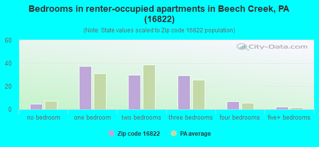 Bedrooms in renter-occupied apartments in Beech Creek, PA (16822) 