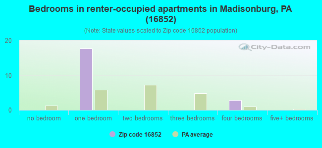 Bedrooms in renter-occupied apartments in Madisonburg, PA (16852) 
